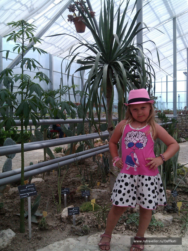 photo 424125
