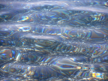 photo 377440