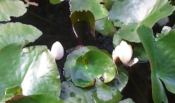 20130623_200440