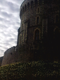 photo 701221