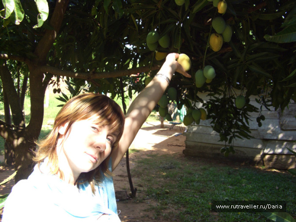photo 3445