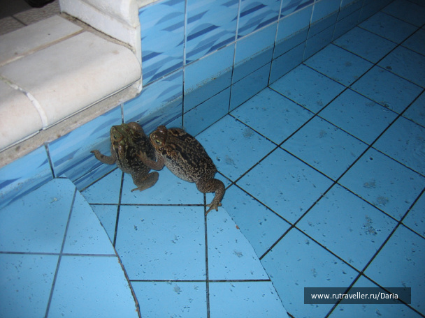 photo 3473