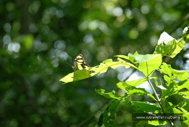 photo 4042