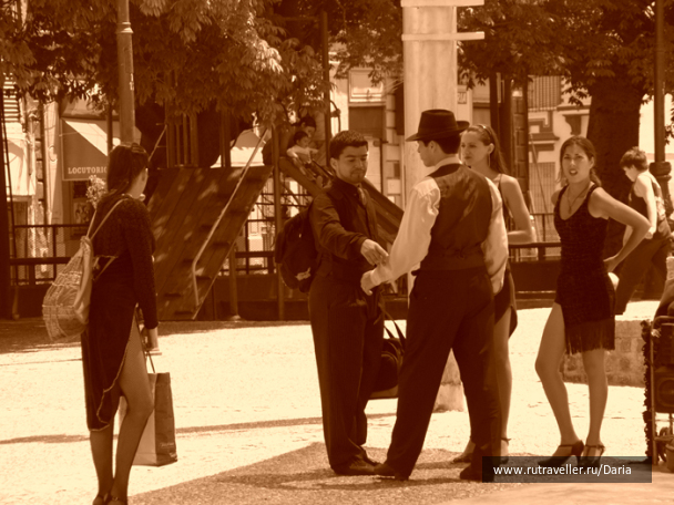 photo 4137