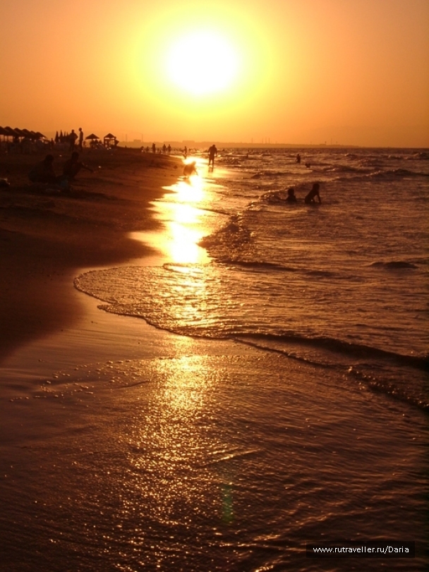 photo 19356