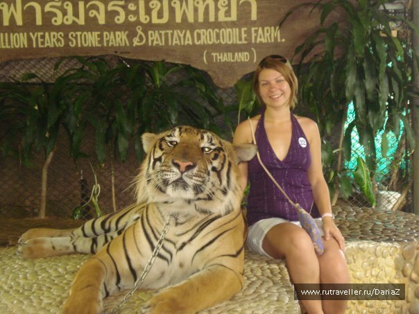 photo 471552