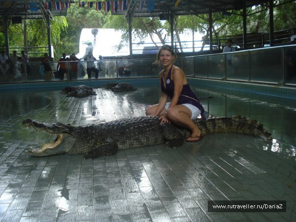 photo 471562