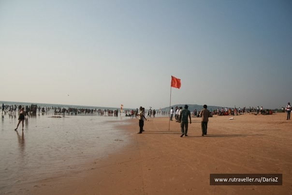 photo 471453