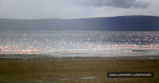 photo 26653