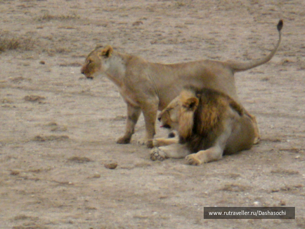 photo 26662