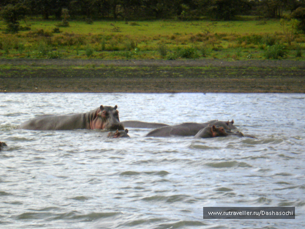 photo 26666