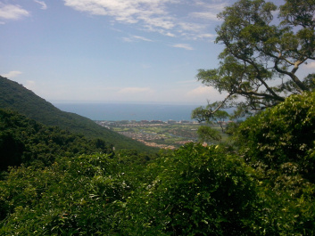 photo 162105