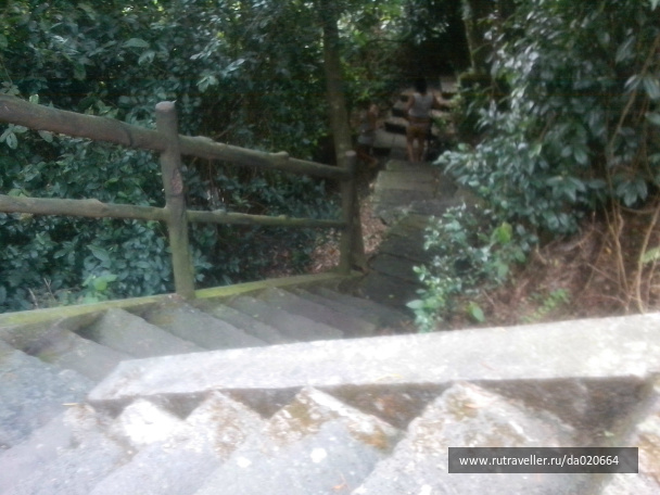 photo 162113