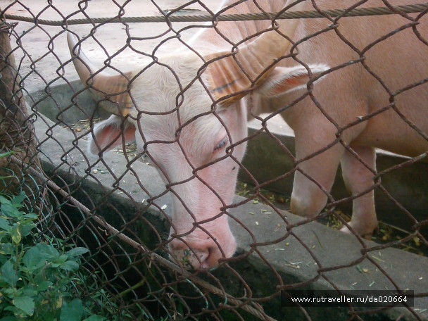 photo 162115