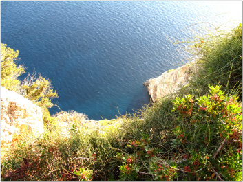 photo 192466