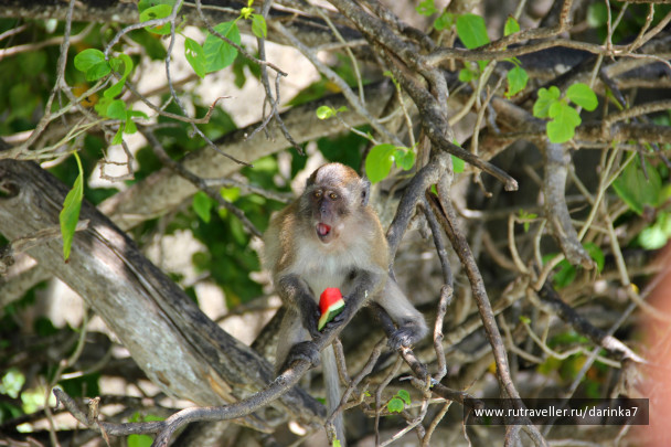 photo 258024
