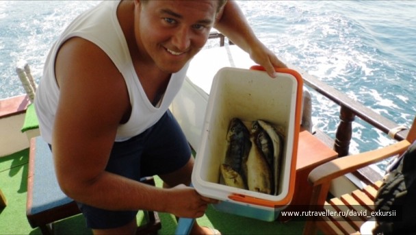 photo 1363484