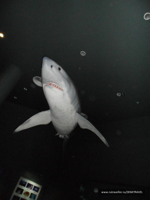 photo 69359