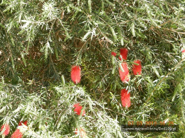 photo 752291
