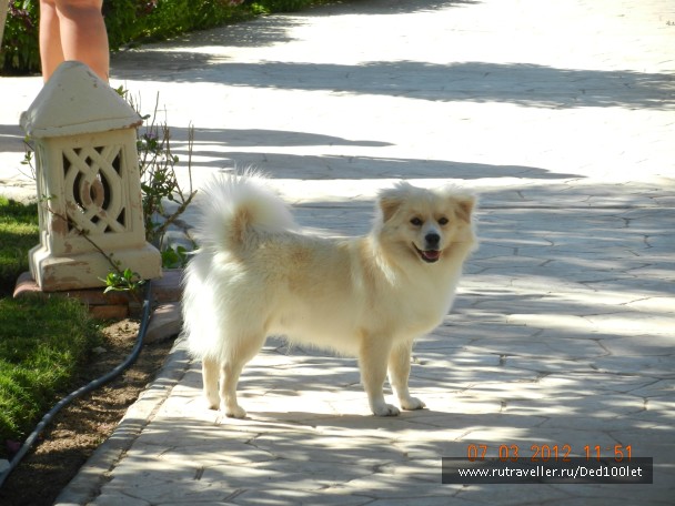 photo 752292