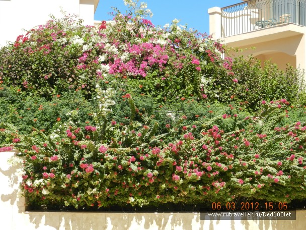 photo 752293