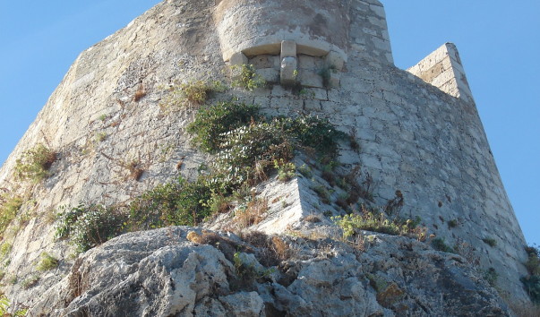 DSC06773a