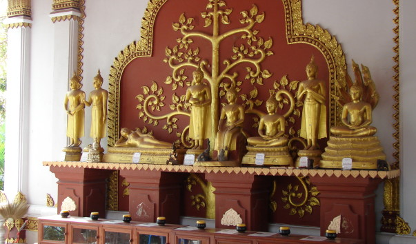 DSC06108