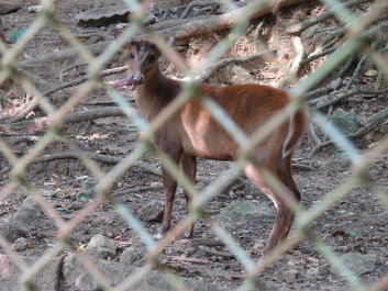 photo 1136247