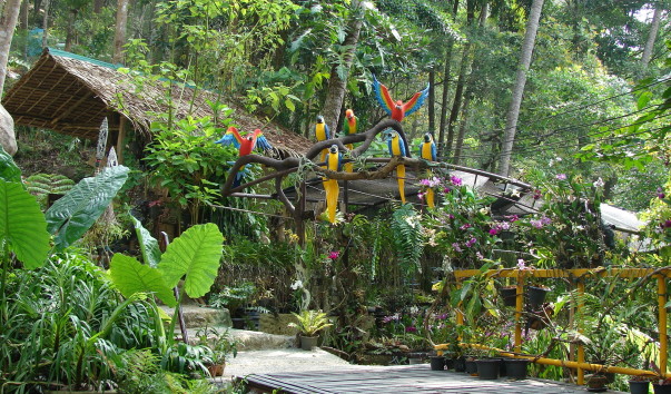 DSC06138