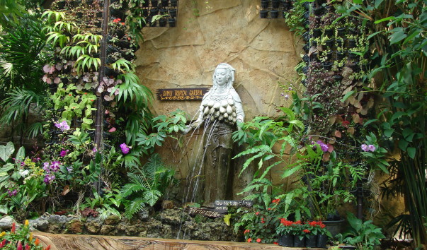 DSC06137