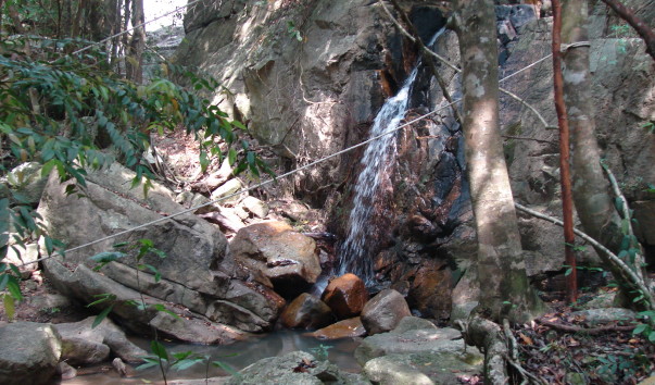 DSC06122