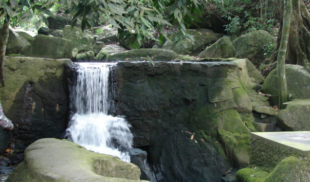 DSC06080