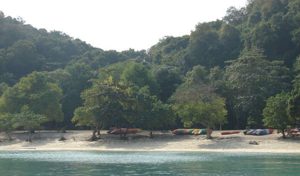 DSC06242