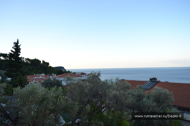 photo 1385428