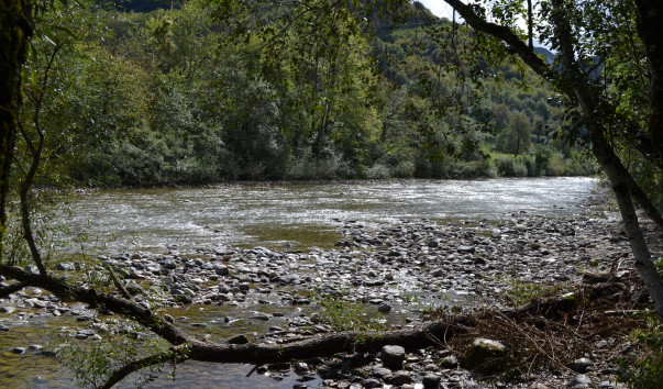 DSC_2386