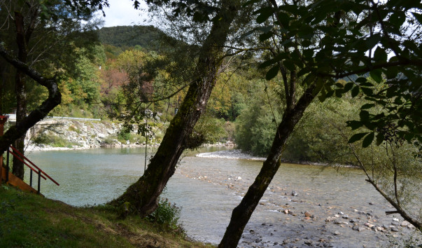 DSC_2383