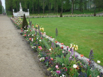 photo 1472892
