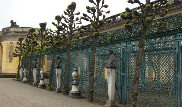 DSC08553