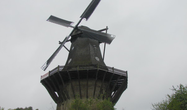 DSC08493a