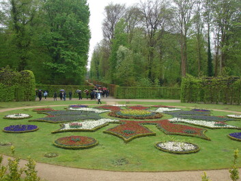 photo 1474275