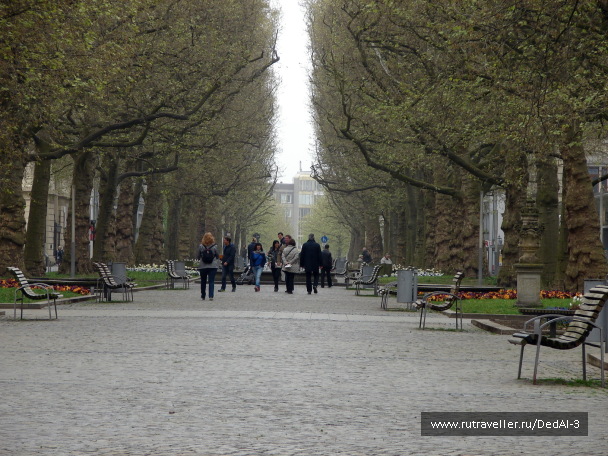 photo 1477675