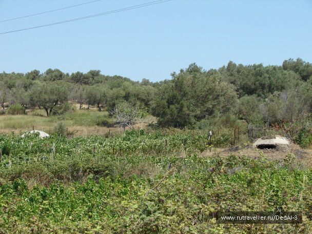photo 1519990