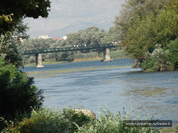 photo 1520045