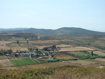photo 1524316