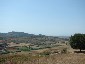 photo 1524317