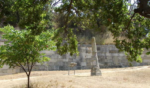 DSC09947 (2)
