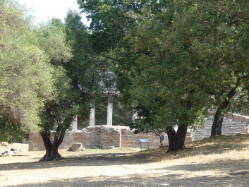 photo 1524337