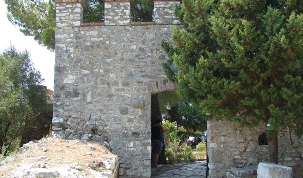 DSC00139