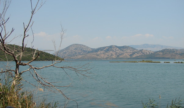 DSC00124