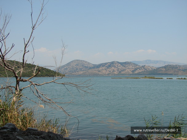 photo 1526421